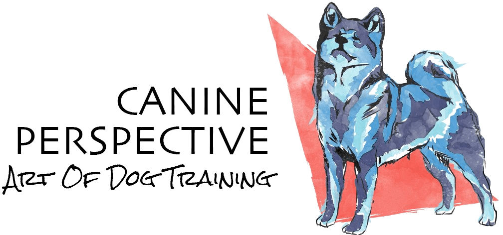 Canine Perspective. Art of Dog Training